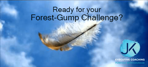 July1.1 - Ready for your Forest-Gump Challenge?